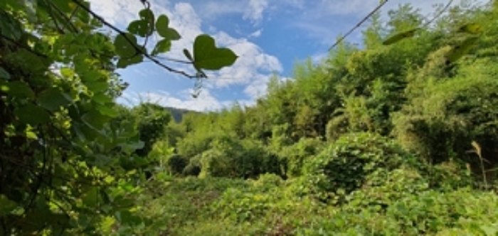 기호 13,14 전경