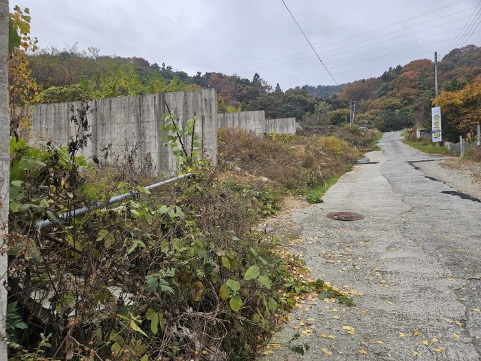 일련번호(5)-(7)