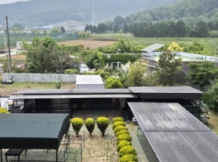 목록 2 지상 제시외 철제구조물구조 폴리카보이네이트지붕 견사, 물탱크, 정원수