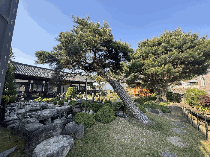 기호(4)지상 조경수 및 조경석