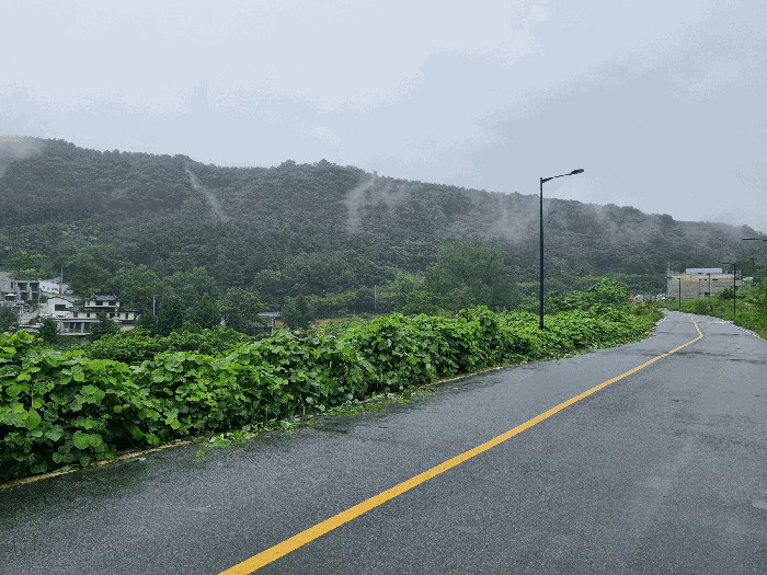 [본건 전경]