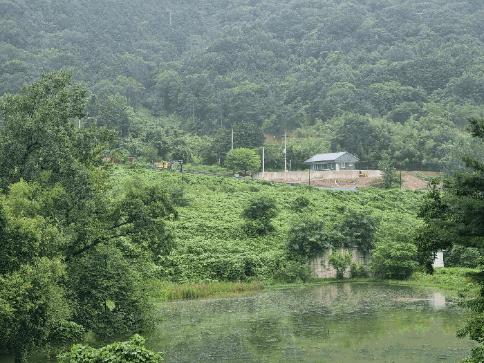 [본건 원거리 전경]
