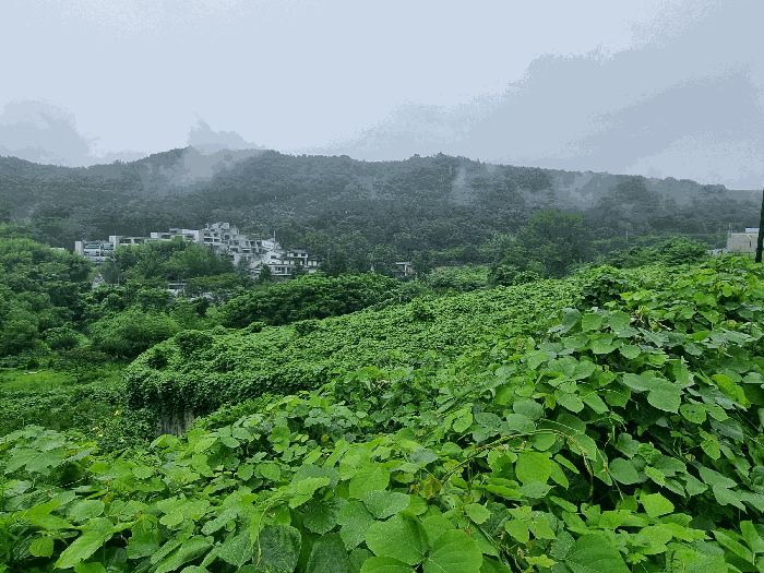 [본건 전경]