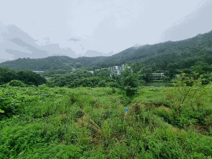 [본건 전경]