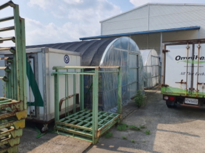 부동산표시 1,2번 양 지상 비닐하우스 전경