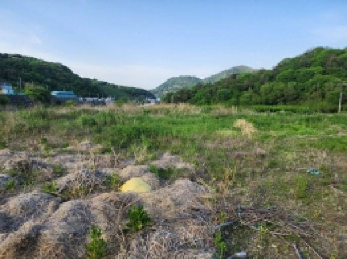 본건 2항 전경