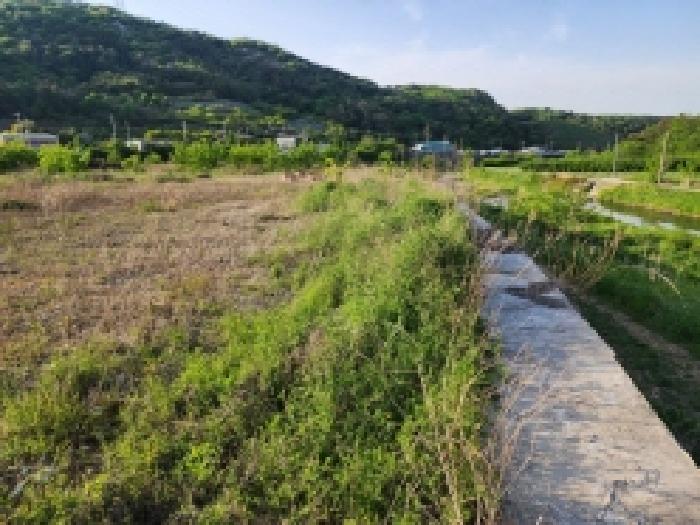 본건 3항 전경