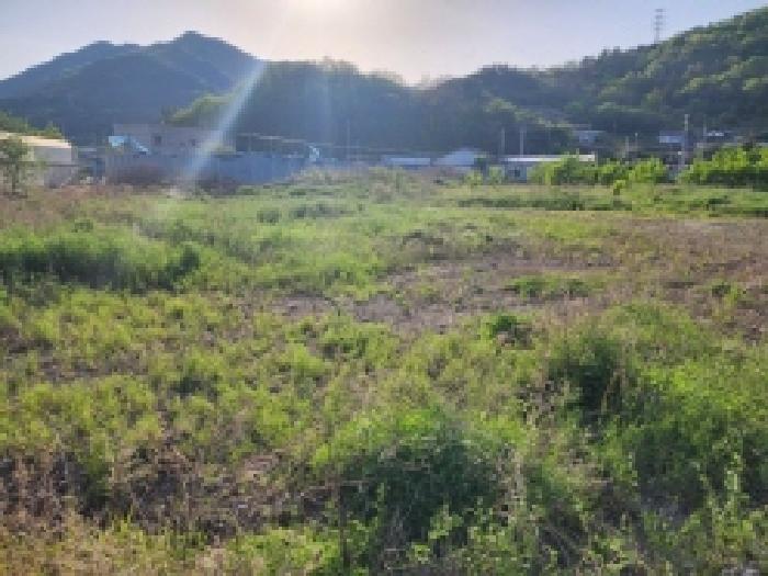 본건 4항 전경