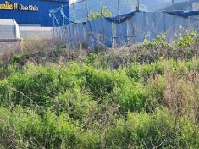 본건 5항 전경