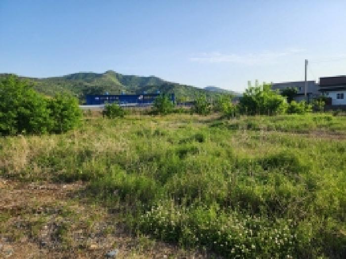 본건 1항 전경