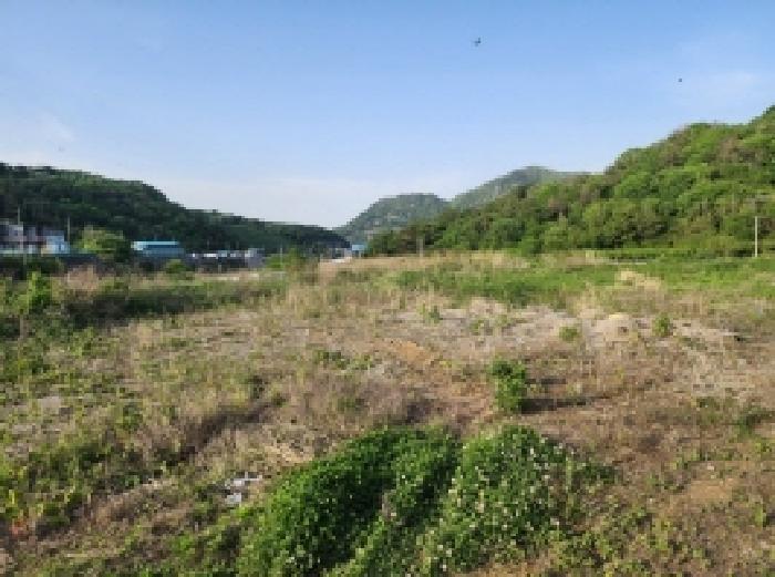 본건 1항 전경