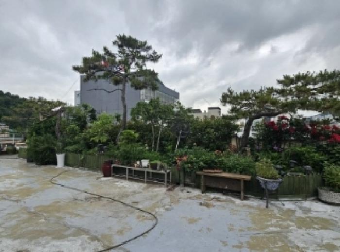 목록 2번 전경(옥상 정원, 소나무 등 식재됨)