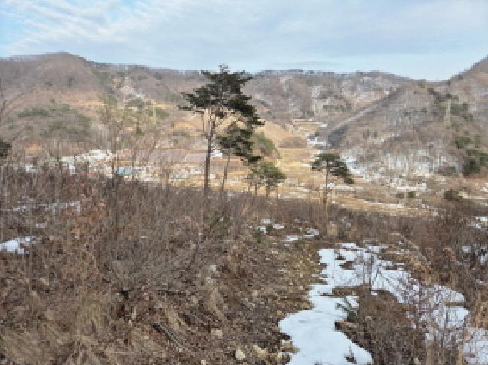 목록3. 토지(임야) 전경(2)