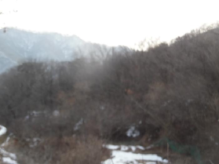 목록4. 토지(임야) 전경(1)