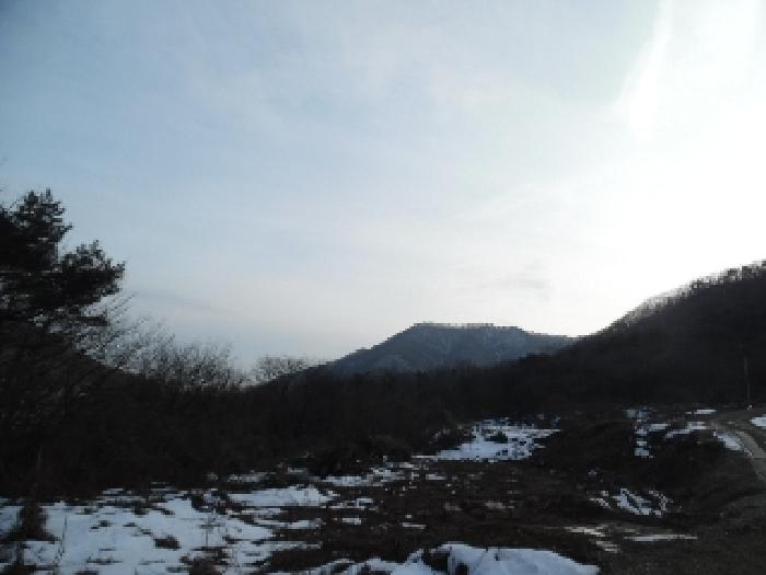 목록4. 토지(임야) 전경(2)