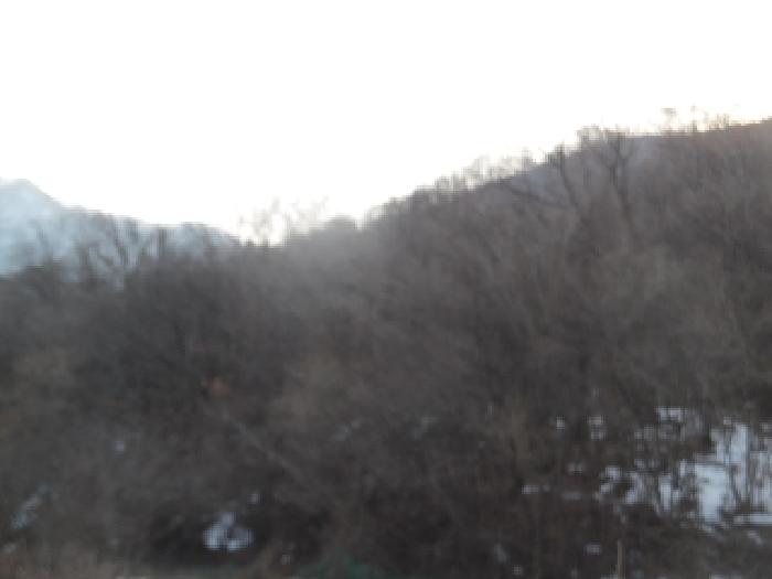 목록4. 토지(임야) 전경(3)