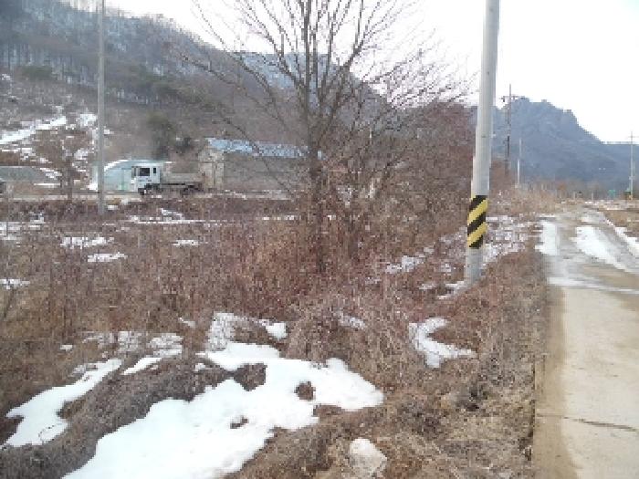 목록5. 토지(임야) 전경(3)