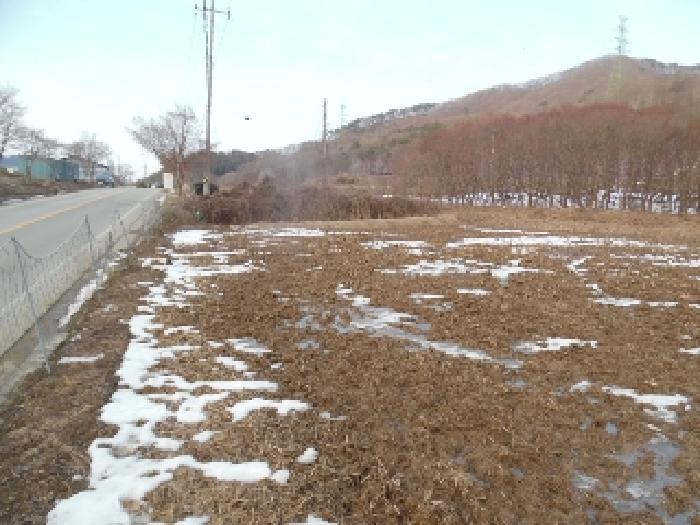목록6. 토지(임야) 전경(1)