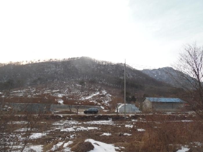 본건 부동산 전체 전경(1)