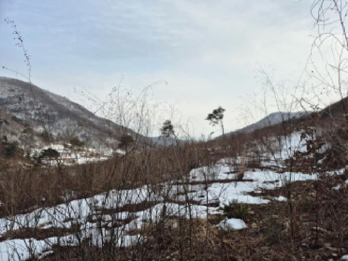 목록2. 토지(임야) 전경(2)