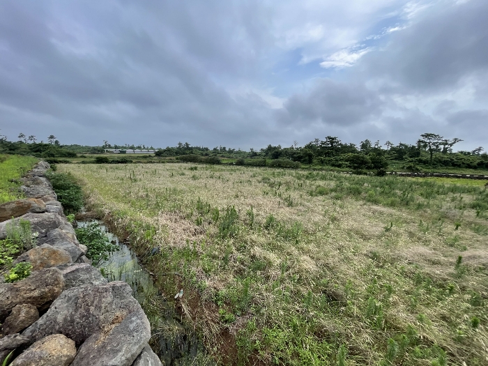 본건 전경
(촬영위치 : 본건 북동측)