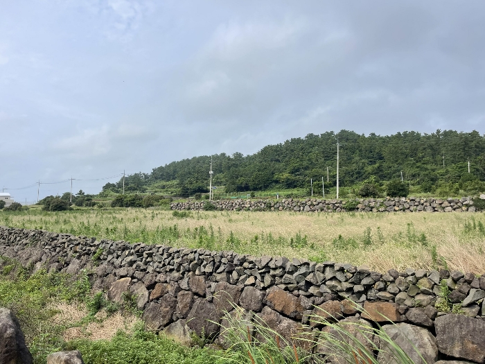 본건 전경
(촬영위치 : 본건 남서측)