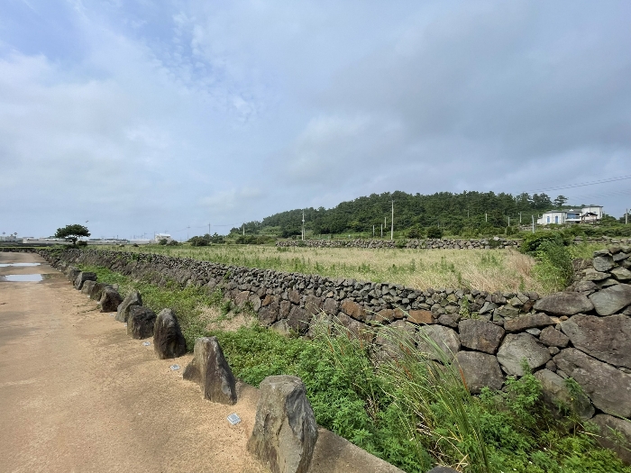 본건 전경
(촬영위치 : 본건 남서측)