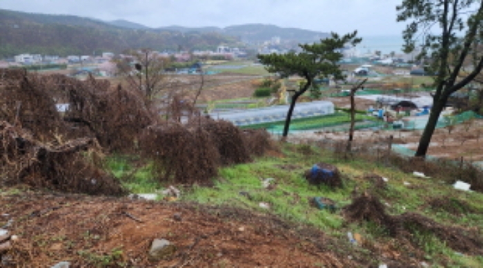 부동산의 표시 1.