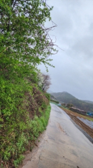 부동산의 표시 3. 