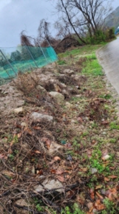 부동산의 표시 3. 