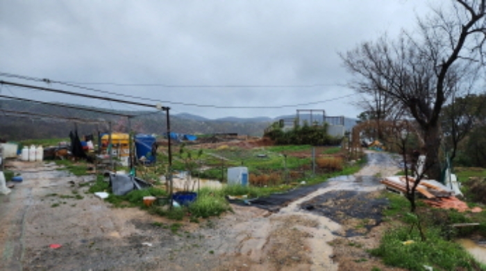 부동산의 표시 9와 부동산의 표시 11의 일부