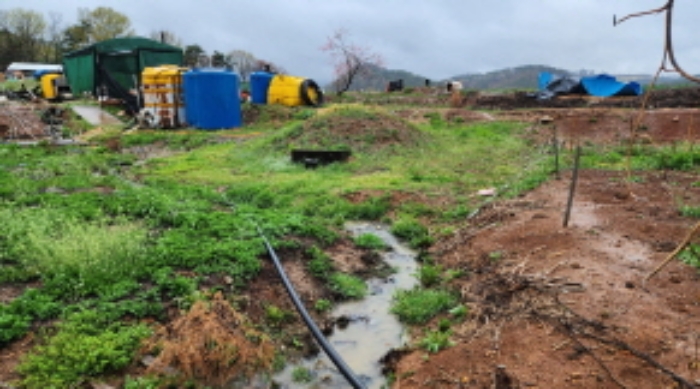 부동산의 표시 11. 제시외 분묘 1기와 물탱크 4개