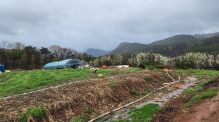 부동산의 표시 12. 일부 전과 제시외 비닐하우스 1동