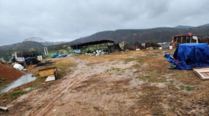 부동산의 표시 12. 제시외 비닐하우스 2동과 염소사 견사 각 1동