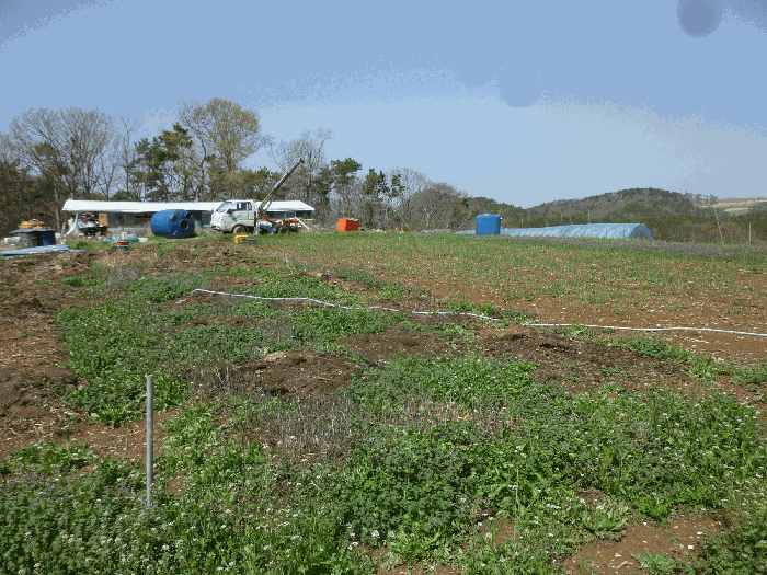 기호(4,6,10) 전경