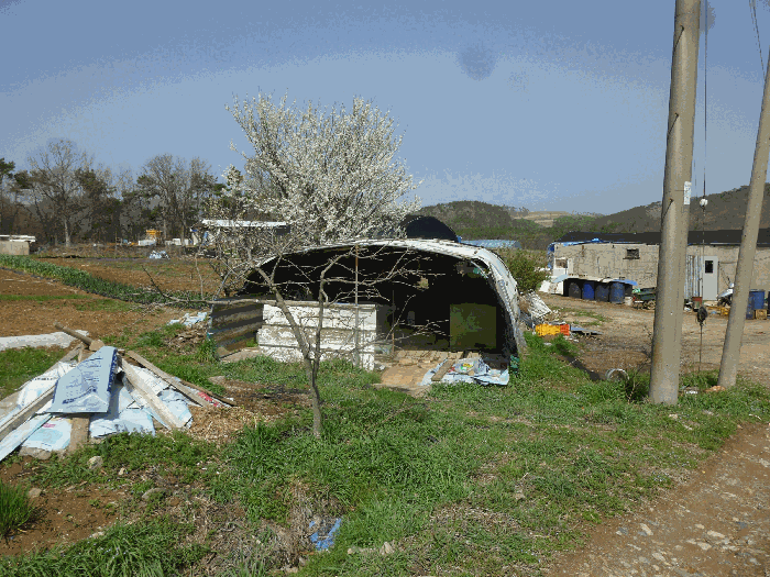 기호(8)소재 농막전경