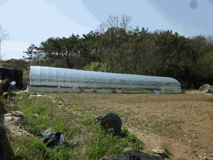 기호(7,8)및 비닐하우스 전경