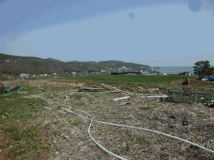 기호(4,5,11) 전경