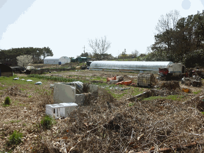 기호(12) 전경 및 비닐하우스