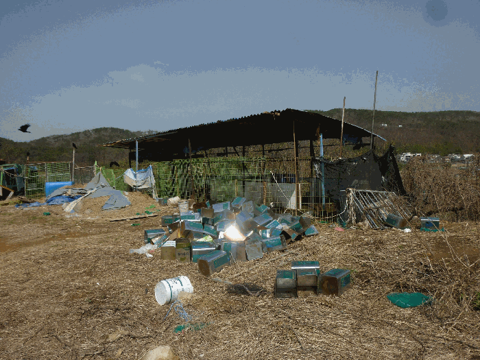 기호(12)염소사육장 전경