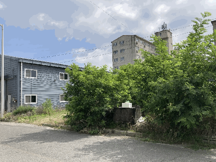 본건 기호(1)토지 전경 및 지상위 제시외수목