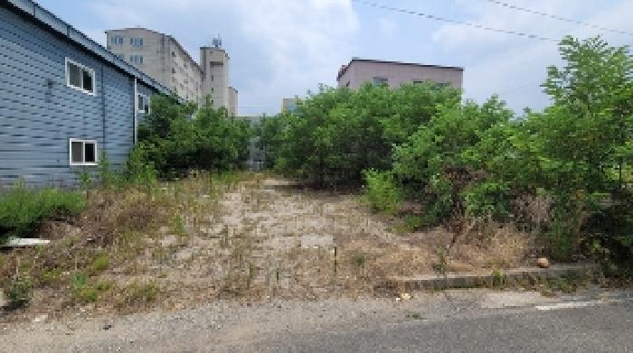 본건1 및 토지 일부 제시외(과)수목(수종불상) 등