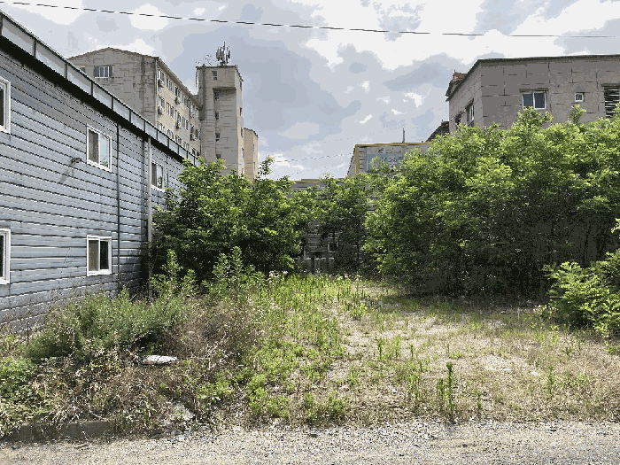 본건 기호(1)토지 전경 및 지상위 제시외수목
