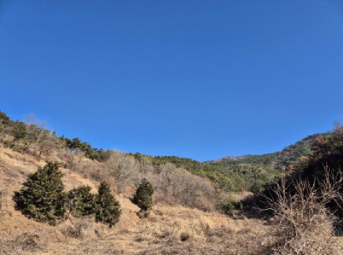 목록 3