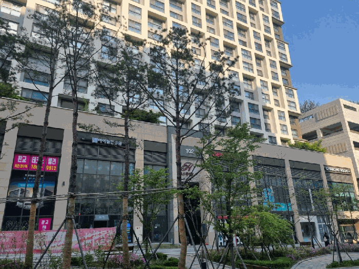 감정서 표지사진