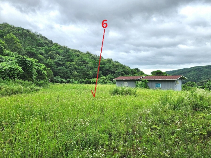 기호6(북서측에