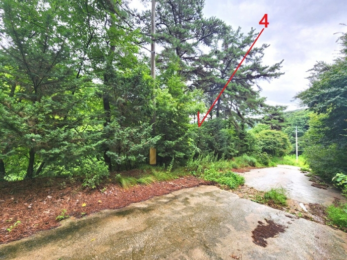 기호4(북서측에