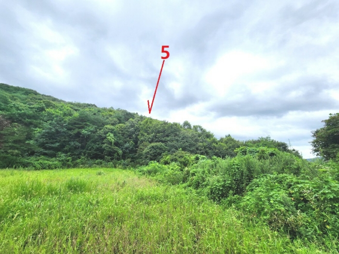 기호5(서측에서