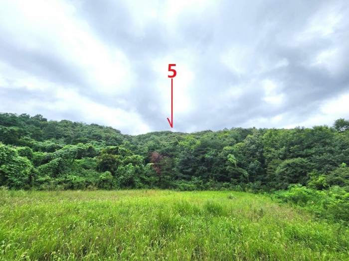 기호5(남서측에