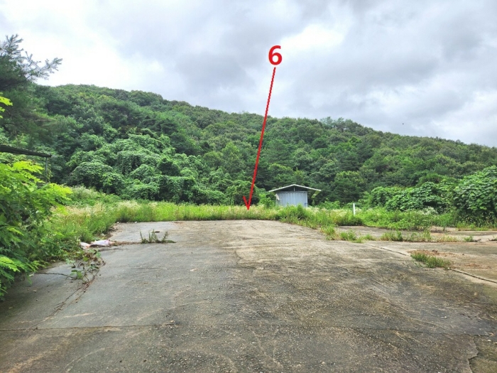 기호6(서측에서